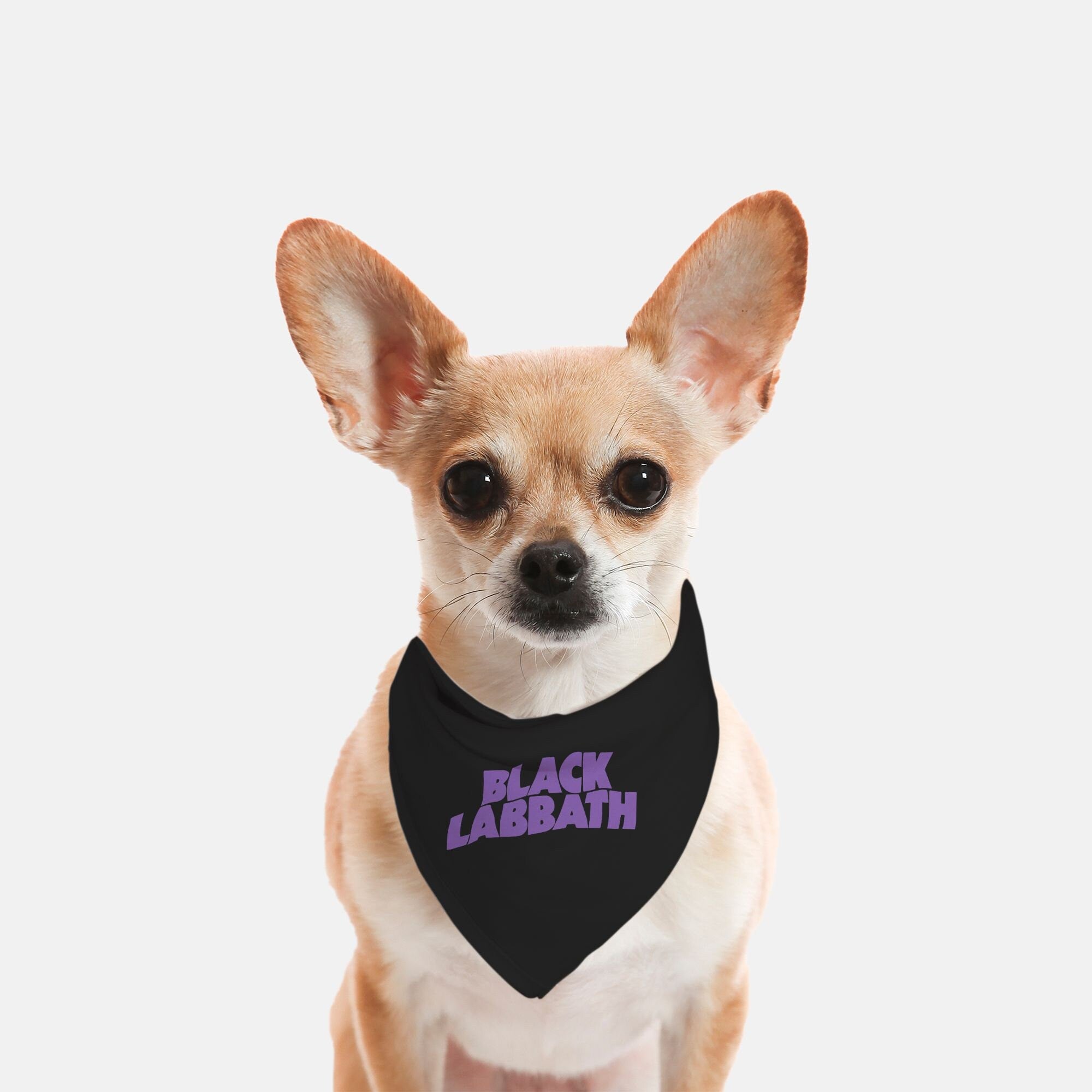 Metal Mutt Triangle Pet Bandanas