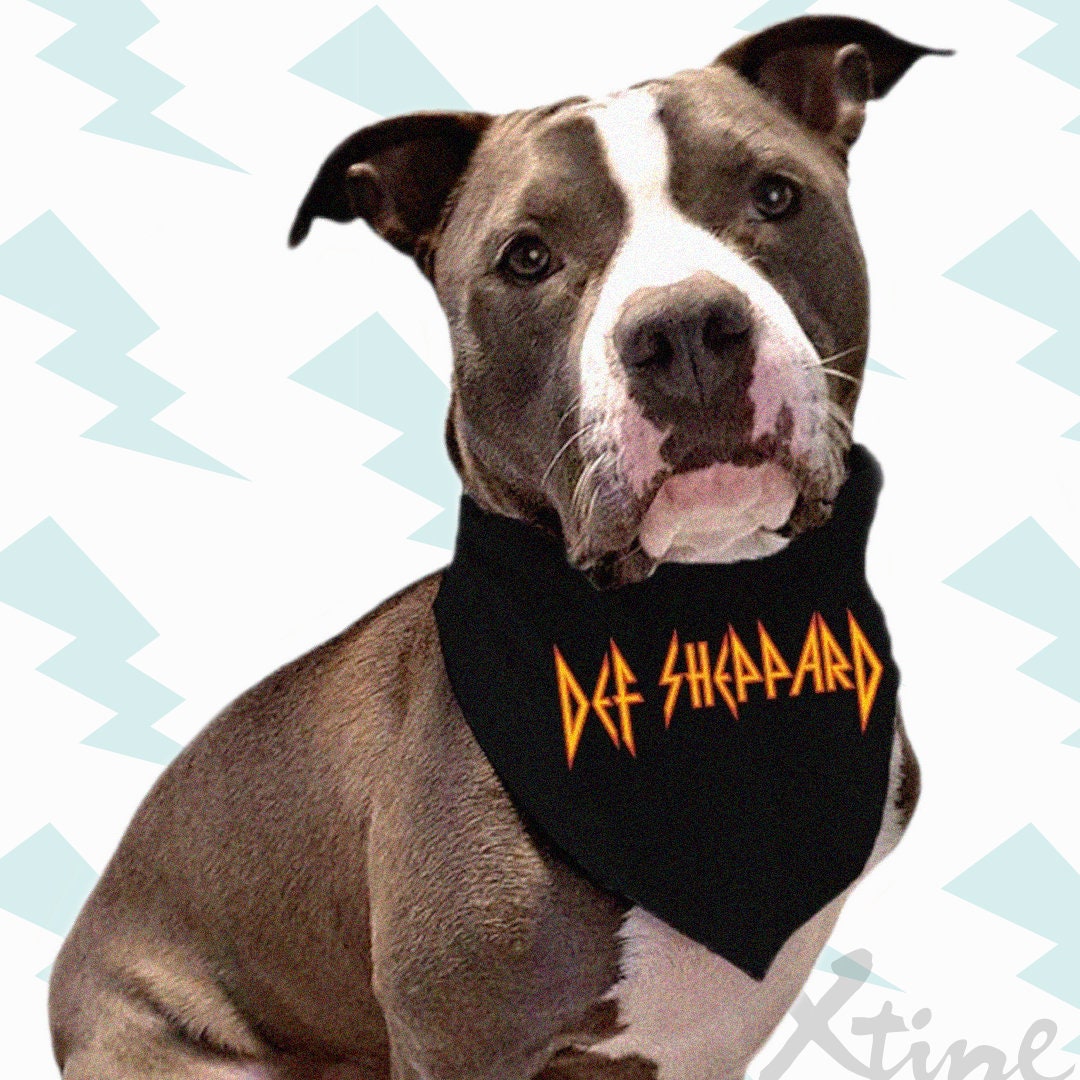 Metal Mutt Collar Bandanas