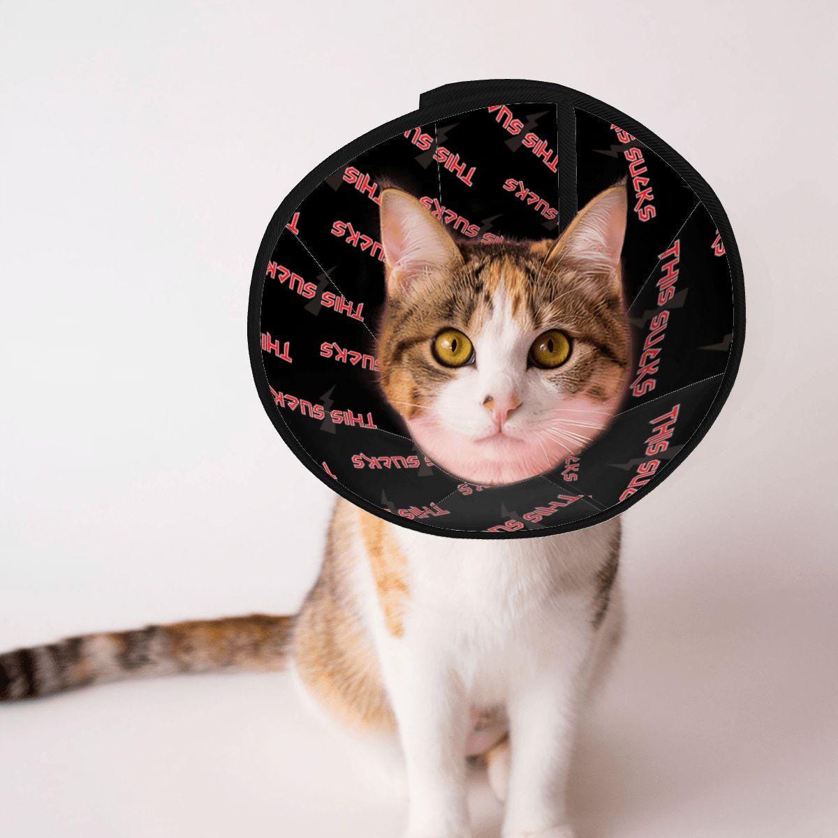 THIS SUCKS Cone of Shame Elizabethan Recovery Collar for Pets