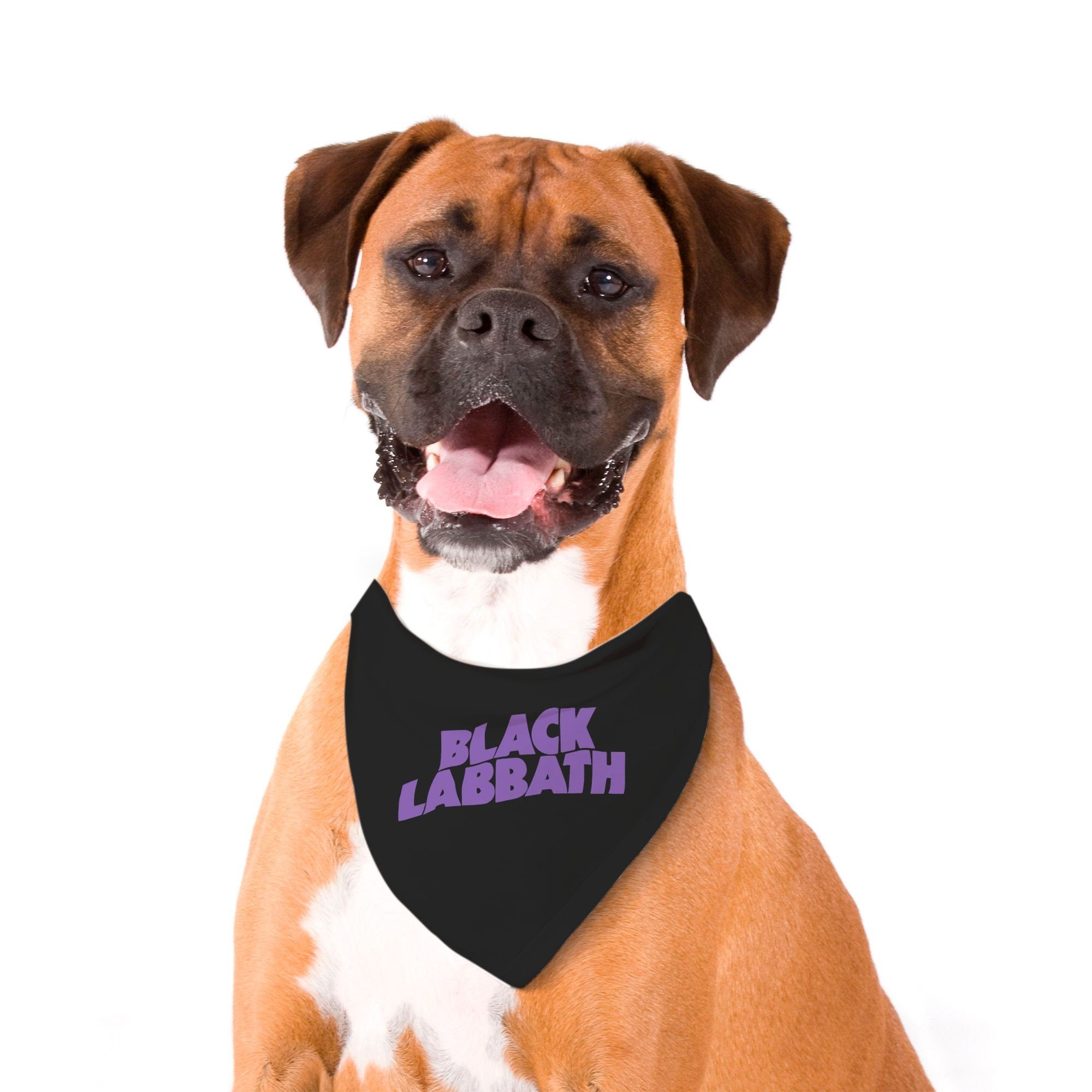 Metal Mutt Triangle Pet Bandanas